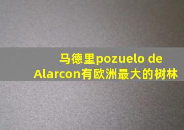 马德里pozuelo de Alarcon有欧洲最大的树林